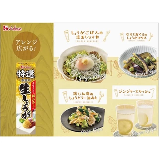 House Tokusen Nama Shoga/Wasabi/Garlic ขิงบดสดบด/วาซาบิสดบด/กระเทียมสดบด ญี่ปุ่น 42g