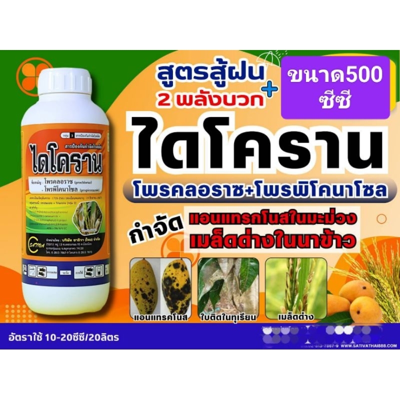 โพรคลอราช+โพรพิโคนาโซล(ไดโคราน)กำจัดเชื้อราแอนแทรกโนสผลเน่า ใบแห้งในกล้วยหอม