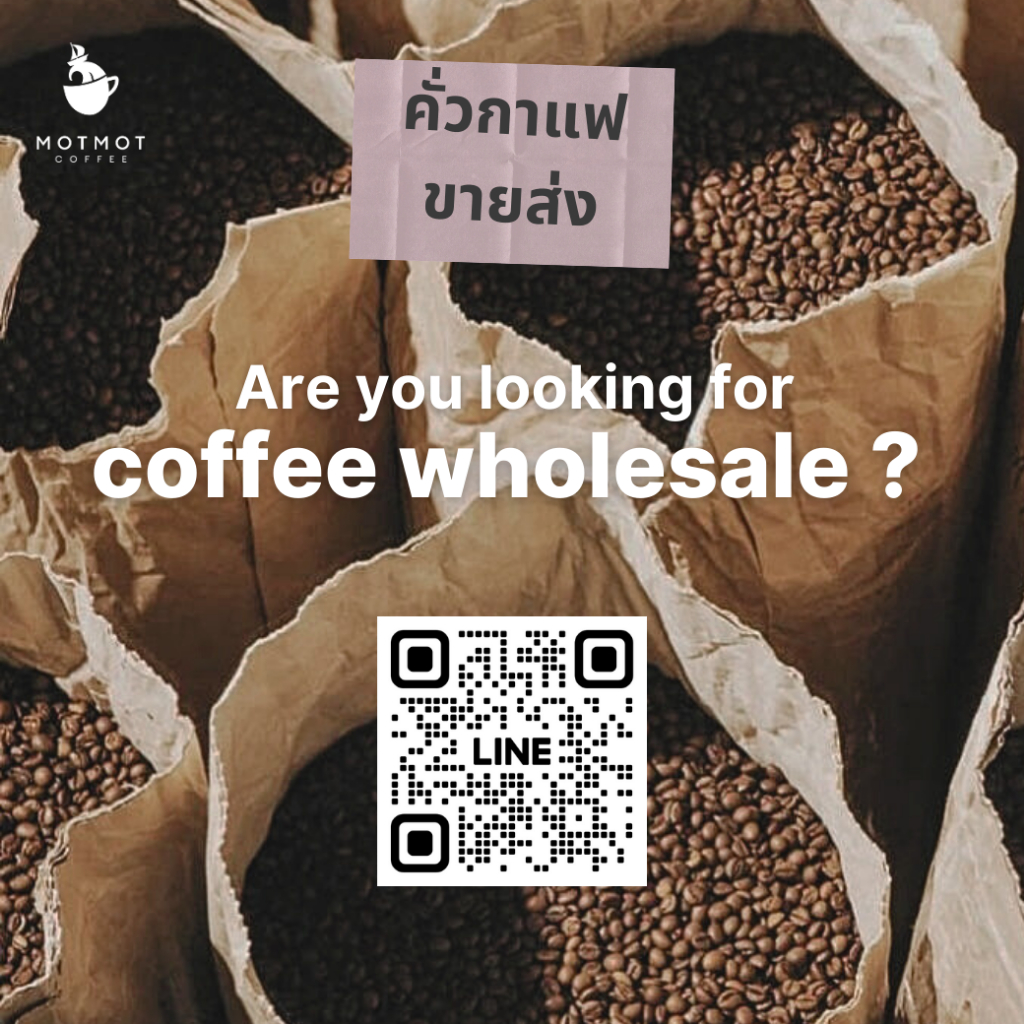 Mae Jan Tai Chiang-Rai Thailand (Anaerobic Washed & Natural) | กาแฟ แม่จันใต้ เมล็ดกาแฟคั่ว MOTMOT COFFEE รูปที่ 3