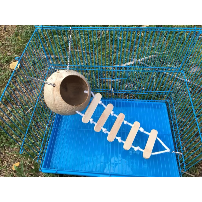 บ้านกะลา (No.5) กะลามะพร้าวทำรัง กระรอก ชูการ์ นก บันได 5 ขั้น พร้อมสายห้อยโซ่และตะขอแขวนกรง ไร้สารเคลือบสีกัดแทะได้