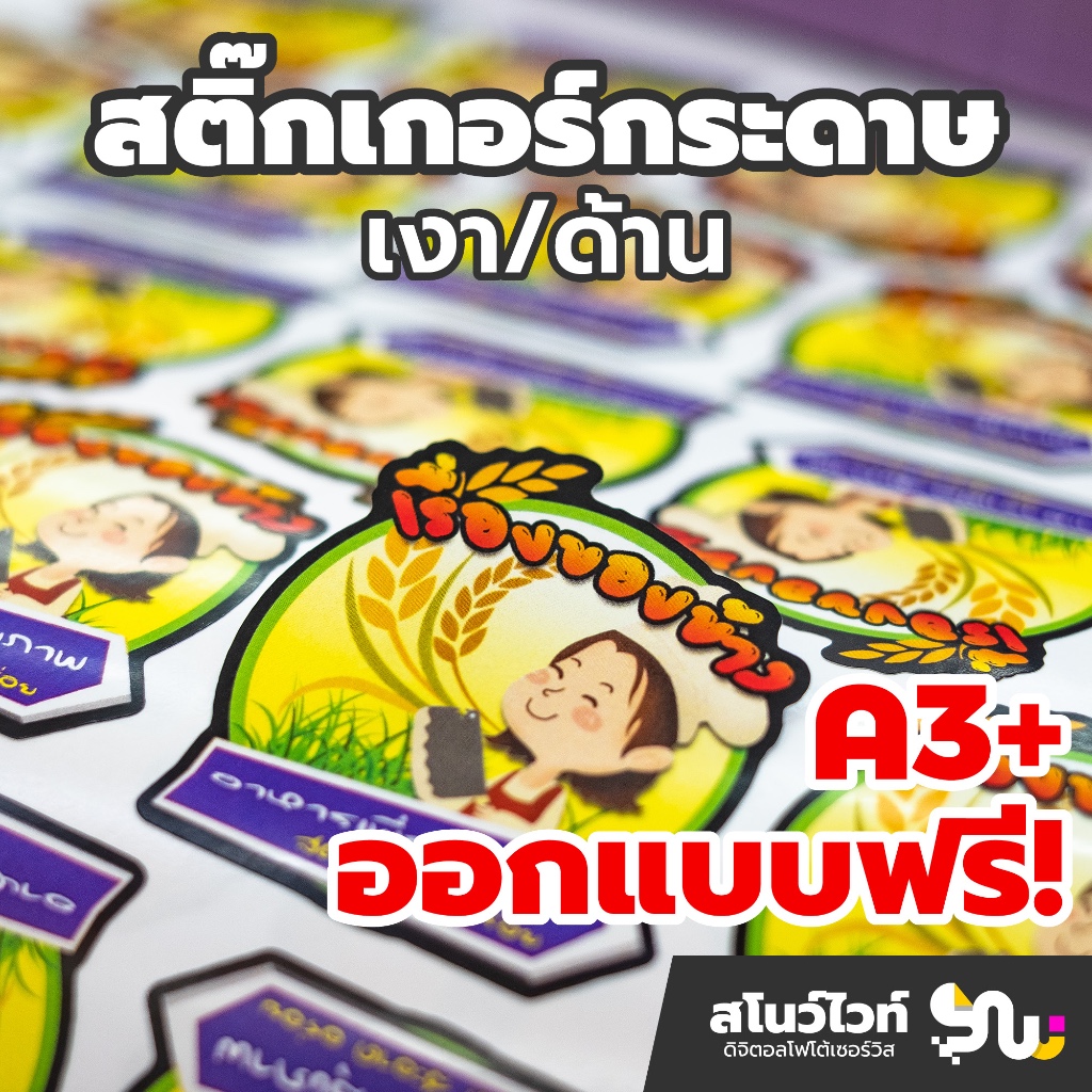 สติ๊กเกอร์กระดาษ เงา/ด้าน พื้นที่ A3+ ฉลากสินค้าพร้อมไดคัท ออกแบบฟรี 🖌️ ราคาถูก ส่งเร็ว