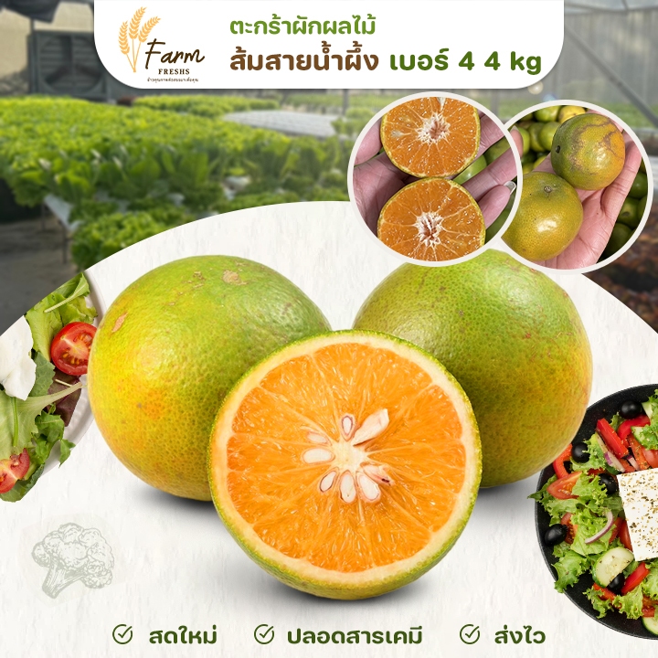 ส่งฟรี/มีไลฟ์ ส้มสายน้ำผึ้งเบอร์4 4 KG คัดเกรด คุณภาพดี น้ำเยอะ ส่งตรงจากเกษตกร farm fresh