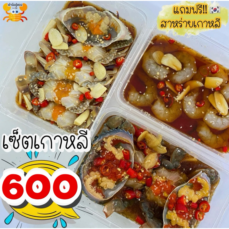 (วันที่ได้รับสินค้าแจ้งในแชท) รวมเซ็ตปูไข่ดองกุ้งดองซีอิ๊วเกาหลี🇰🇷 1 เซ็ตมี 3 กล่อง แถมฟรี น้ำจิ้มซีฟู้ด& สาหร่าย🌶🦀