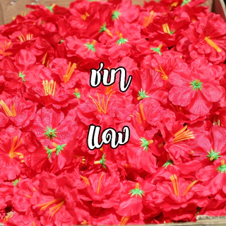 ดอกชบา หัวดอกชบา ดอกชบาประดิษฐ์ ดอกชบาแห้ง ถุงละ500ดอก