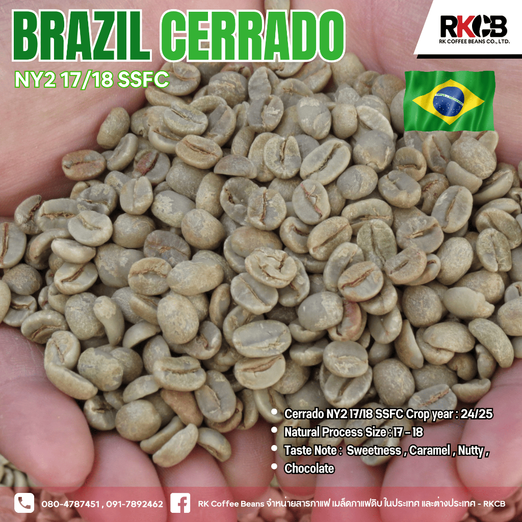 [พร้อมส่ง] สารกาแฟบราซิล เซอร์ราโด Brazil Cerrado บรรจุ 5kg. - 7 kg. RK.Coffeebean .สั่งซื้อเกิน 20Kg. ทักแชท