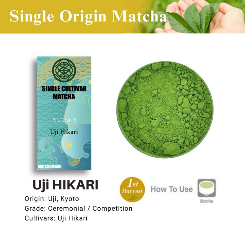 UJI HIKARI : Competition grade / 20G