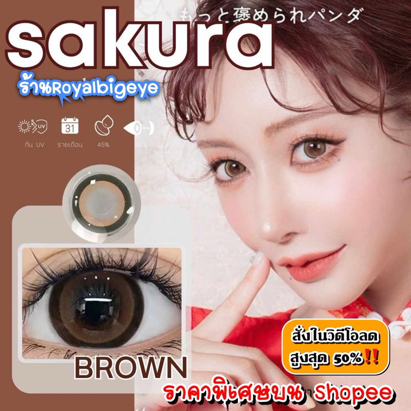 คอนแทคเลนส์ Sakura Brown - Pitchy Lens / Pretty Doll สีน้ำตาลขนาดตาโต มีสายตาถึง -7.00