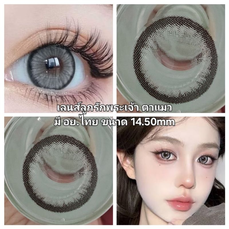 คอนแทคเลนส์ รุ่น  Lucifer / Dazzling สีเทา/ตาล Gray/Brown มีค่าสายตา (0.00)-(-4.00)