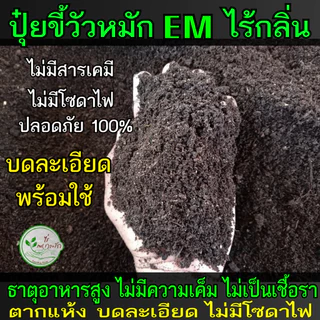 ขี้วัวหมักอย่างดี ผสมไตรโครเดอร์ม่าป้องกันโรคพืช บดละเอียดพร้อมใช้ 1 กิโล ขี้วัว หมัก EM ปุ๋ยคอก​ มูลวัว ปุ๋ยหมัก