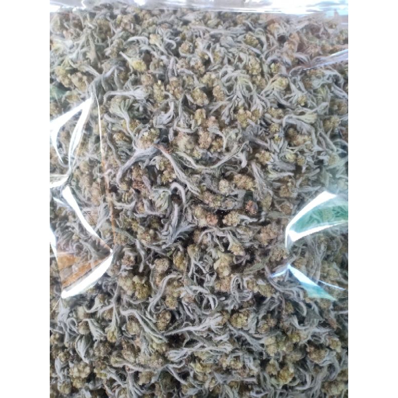 หญ้านางนวล(หญ้าชิวคัก)