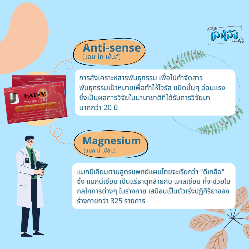 HAP-V ผลิตภัณฑ์เสริมอาหารแมกนีเซียม เสริมสร้างภูมิคุ้มกันไวรัส (10 เม็ด) - รูปที่ 4