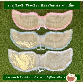 ปีกนางฟ้า ปีกนก ปีกผีเสื้อ ปีกกามเทพ ปีกธนบัตร ปีกเงิน ปรับระดับสายเป้/พับได้ (ซองเปล่า40ใบ)(ตก.นี้ของคนโต) ปีกรับปริญญา
