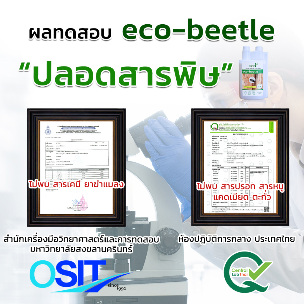 ECO ORGANIC   สมุนไพร กำจัดมอด ป้องกันมอด  กำจัดมอดไม้ไผ่ ยากำจัดมอด ซุ้มไม้ไผ่ รูปที่ 2