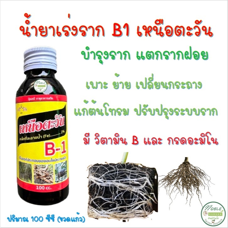 น้ำยาเร่งราก B-1 ขนาด 100 ซีซี  B1 บีวัน เหนือตะวัน สำหรับ เร่งราก บำรุงราก แตกรากฝอย กระบองเพชร แคคตัส บอนสี พืชต่างๆ