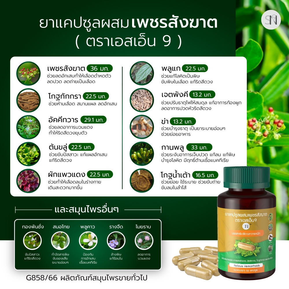 (โปร3กระปุก)  ยาแคปซูลเพชรสังฆาต ริดสีดวง SN9 เพชรสังฆาต ริดสีดวงทวาร - รูปที่ 2