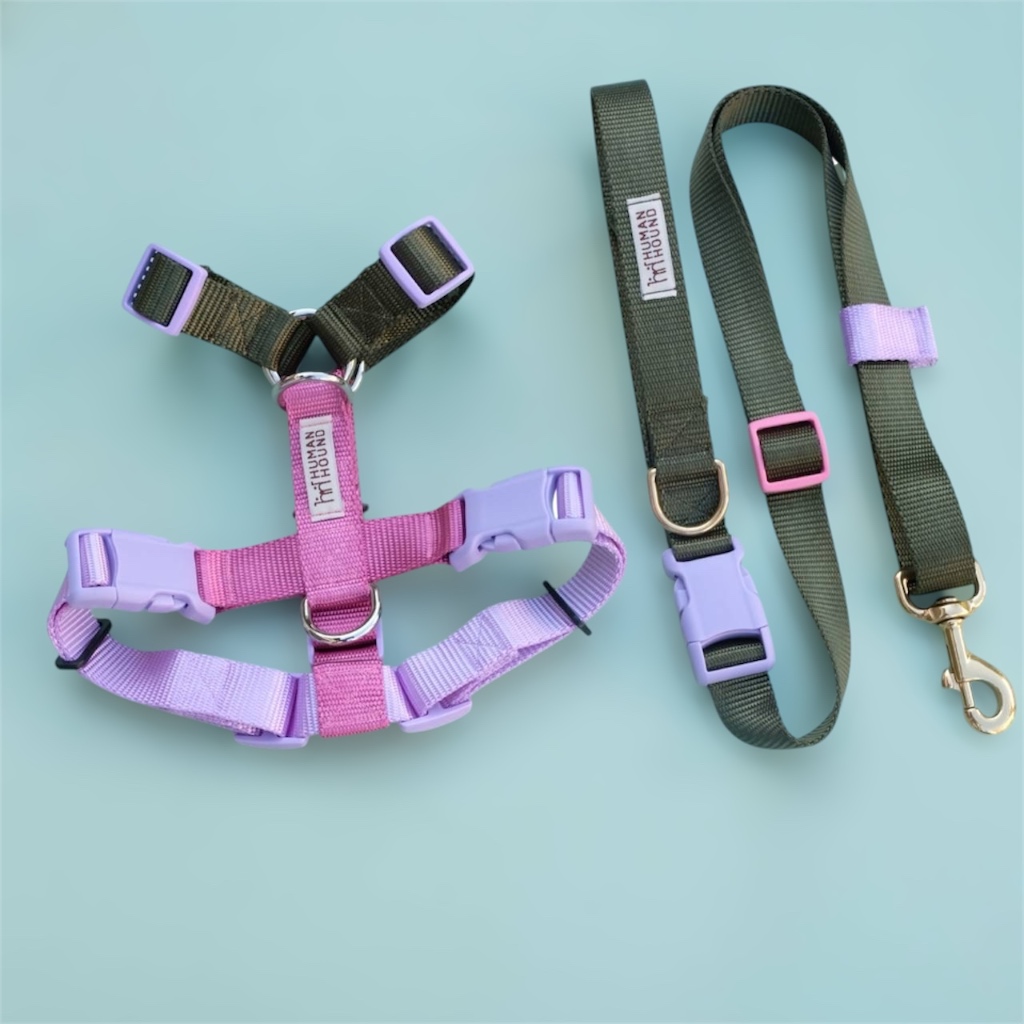 Lavandular : H-harness สายรัดอกสุนัข Human&Hound ไซส์ XS-L