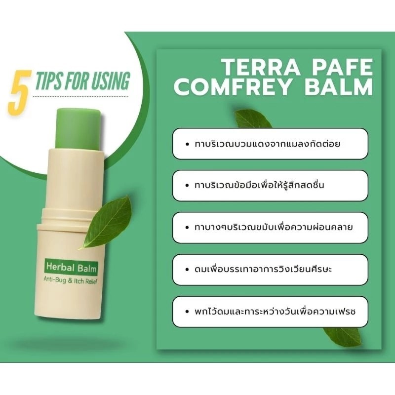 รูปภาพ 5