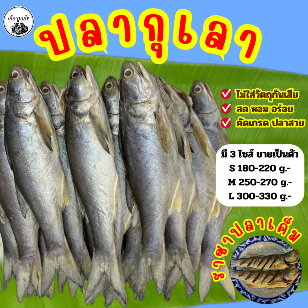 ปลากุเลาตากเเห้ง 3 ไซส์ (เหมาะสำหรับนำไปทอด)