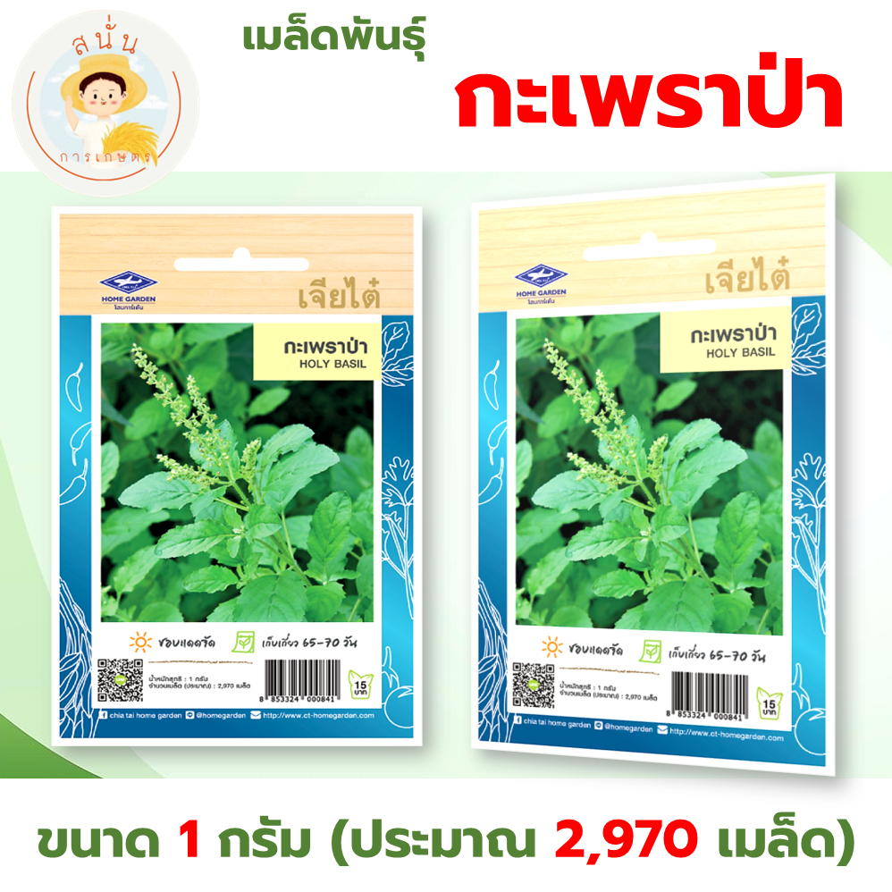 เมล็ดพันธุ์ กะเพราป่า (Holy Basil) ผักซอง เจียไต๋ OP ขนาด 1 กรัม (ประมาณ 2,970 เมล็ด)