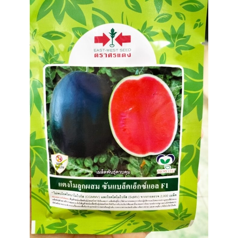 แตงโม🍉🍉ซันแบล็คเอสซ์แอลF1 ขนาด 40 กรัม ตราศรแดง ราคาถูก Shopee Lazada