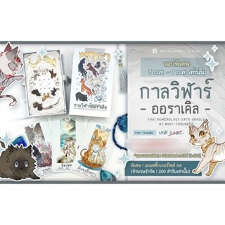 พร้อมส่ง🔮ไพ่ กาลวิฬาร์ ออราเคิล ไพ่แมว