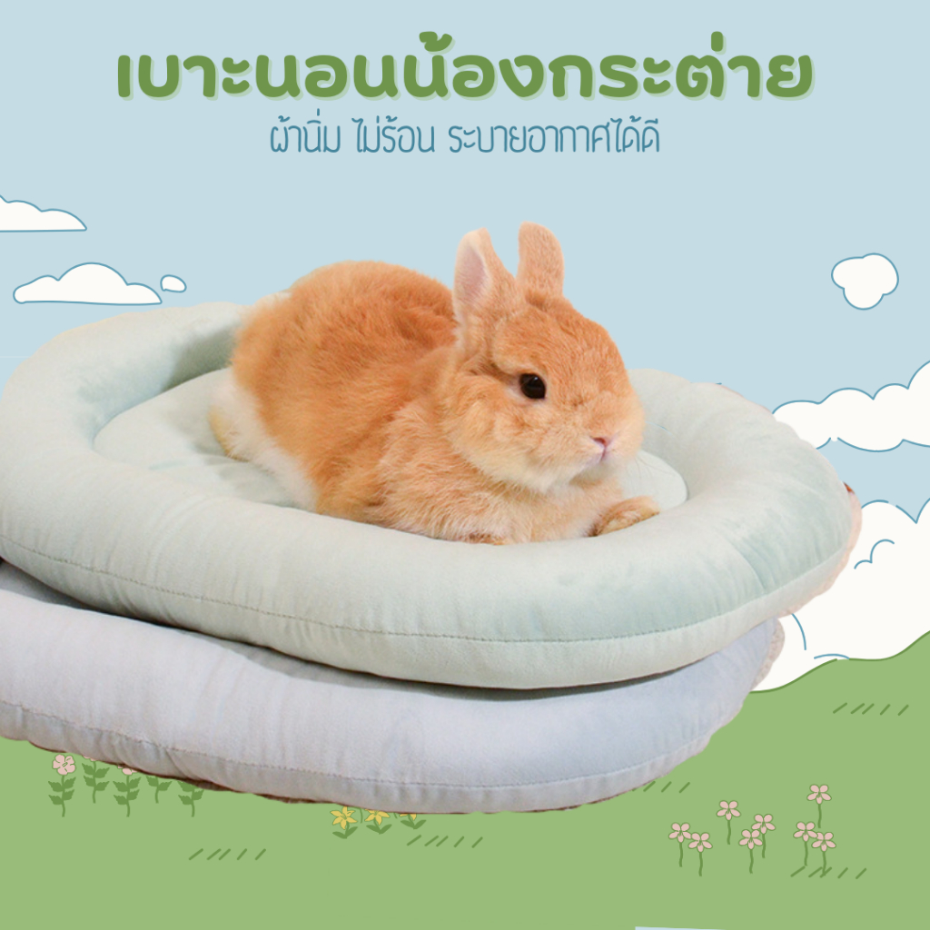 [ส่งไว 1-2 วัน] เบาะนอนสัตว์เลี้ยง เนาะนอนกระต่าย เบาะนอนแมว เบาะนอนลูกแมว ที่นอนกระต่าย แผ่นรองกระต่าย