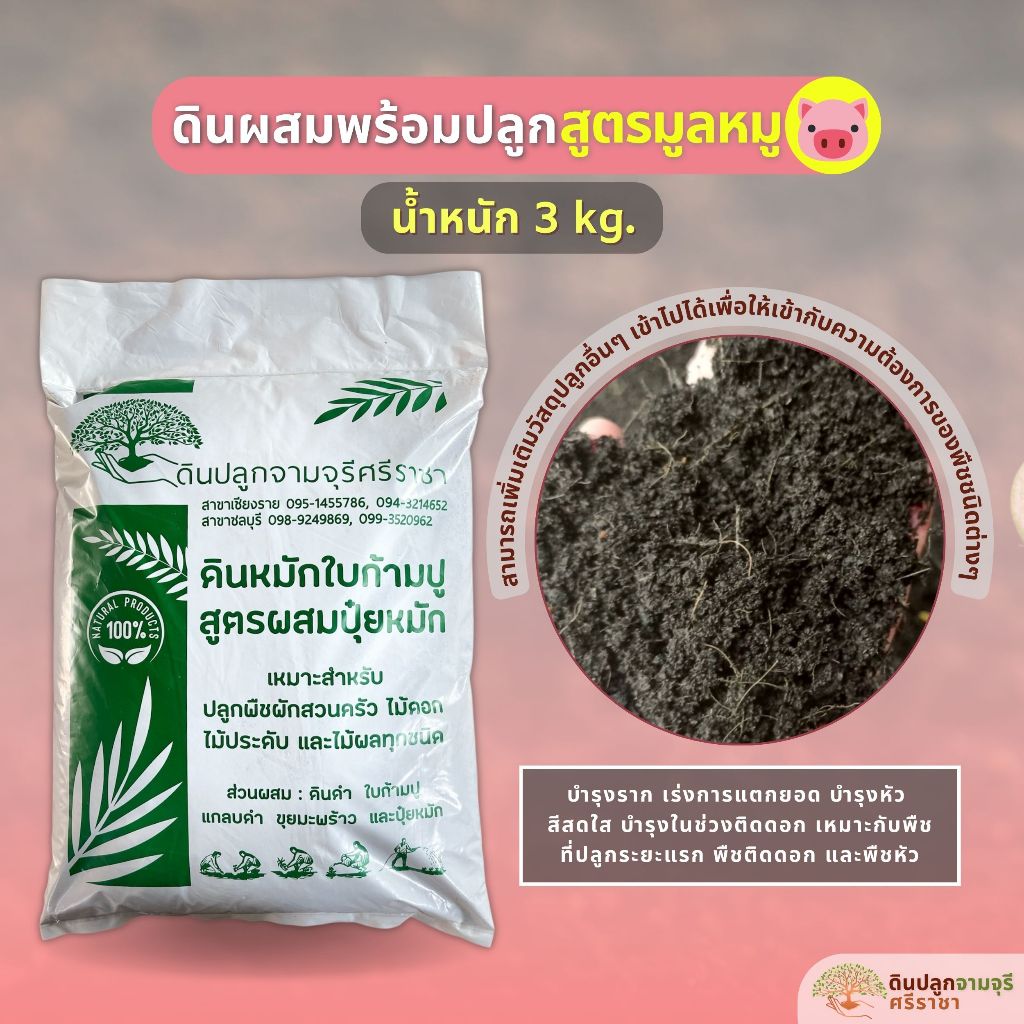 ดินผสมใบก้ามปูสูตรขี้หมูบด (น้ำหนัก 3 kg.) พร้อมใช้งาน (กรุณาสั่งสินค้าไม่เกิน 5 ถุง/ 1 ออเดอร์นะคะ)