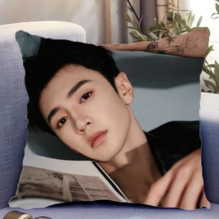 Pre Order🌈 หมอน เฉินเจ๋อหย่วน ChenZheyuan แอบรักให้เธอรู้ ‼️รอของ25-30วัน