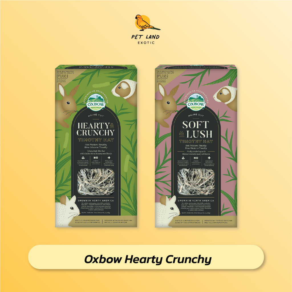 Oxbow Prime Cut Timothy Hay หญ้าทิโมธีเกรดพรีเมี่ยมตัดช่วงเวลาที่ดีที่สุด สำหรับกระต่าย แกสบี้ ชินชิ