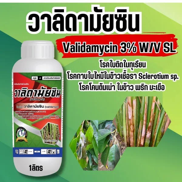 วาลิดามัยซิน ขนาดบรรจุ 1 ลิตร วาลิดา วาลิด วาลิดดา กาบใบแห้ง ใบไหม้ ใบติด ทุเรียน
