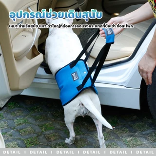 evebell อุปกรณ์ช่วยพยุงสุนัข LIFT HARNESS ลดแรงกระแทกที่ข้อเข่า สำหรับสัตว์เลี้ยง