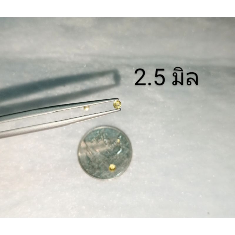 1.0-2.5 มิล พลอยบุษราคัม สีเหลือง Yellow Sapphire เหมาะทำฝังพลอย แหวนแถว แหวนเรียบ แหวนพลอย จี้พลอย พลอยแท้ธรรมชาติ