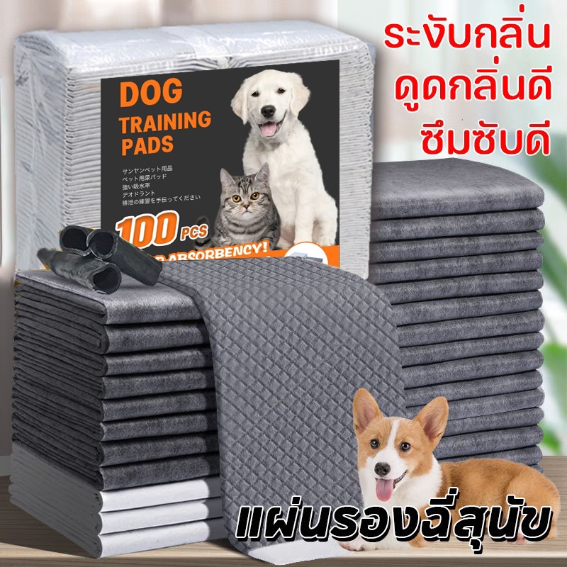 แผ่นรองฉี่สุนัข รุ่นชาโคล แผ่นรองฉี่ชาโคล แผ่นรองฉี่แมว ช่วยฝึกขับถ่าย การดูดซับน้ำ6ชั้น ระงับกลิ่นได้ดี Pee Pad