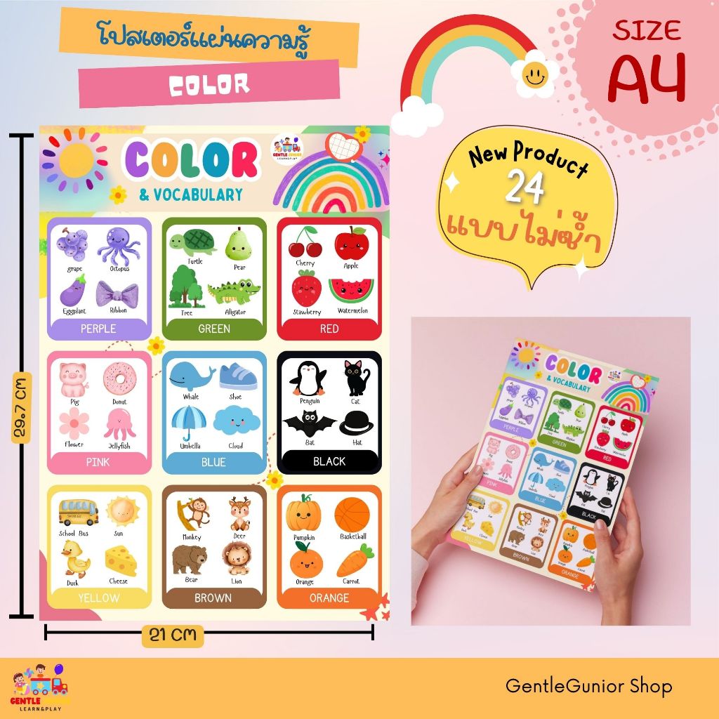 NEW!! แผ่นความรู้ หมวด รู้จักสี และอีก 24 แบบ!! สำหรับเด็กๆ ขนาด A4 สื่อการสอนหัดอ่านเสริมพัฒนาการ