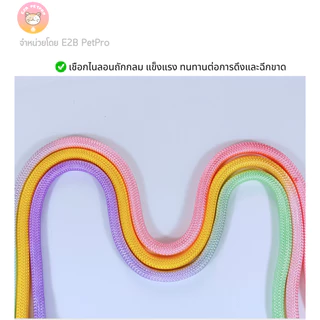ปลอกคอสุนัข สายจูงสุนัข ไล่เฉดสีโดพามีน ปลอกคอสุนัขใหญ่สีสันสดใส C057
