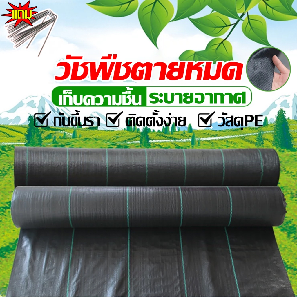 พราสติกคลุมดิน ผ้าคลุมดิน คลุมดิน น้ำซึมผ่านได้ คลุมวัชพืช ป้องกันรังสีUV20/50/100/200M