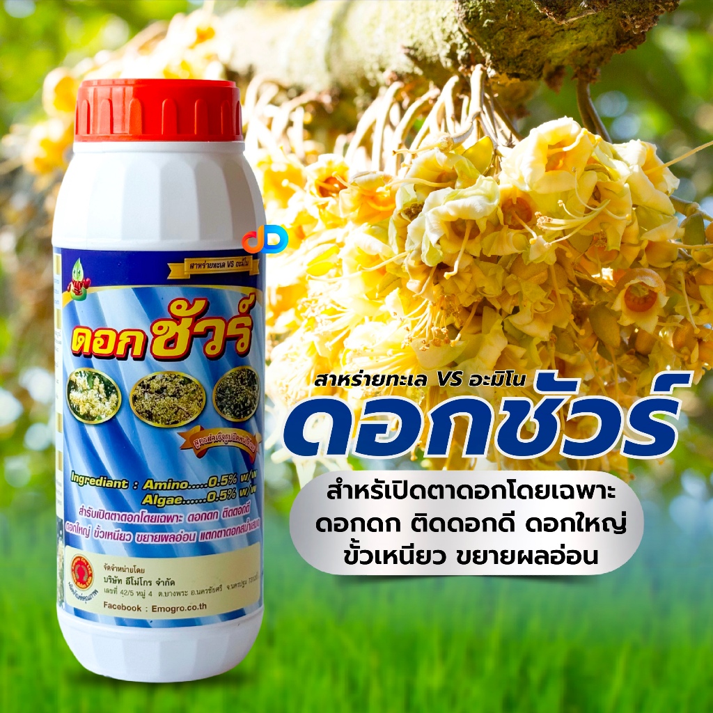 ดอกชัวร์ สาหร่ายทะเล$อะมิโน เบสฟอร์+ดอกชัวร์ ขนาด 1 ลิตร
