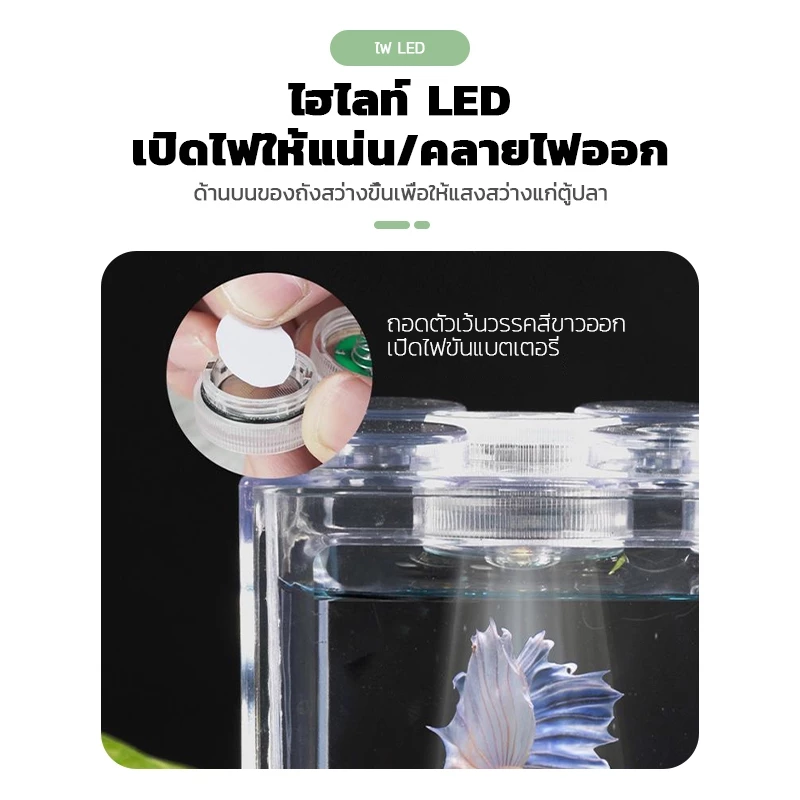 ตู้ปลากัด โหลปลากัด ABS แข็งแรง พร้อมฝาปิด หลายขนาด thumbnail 8