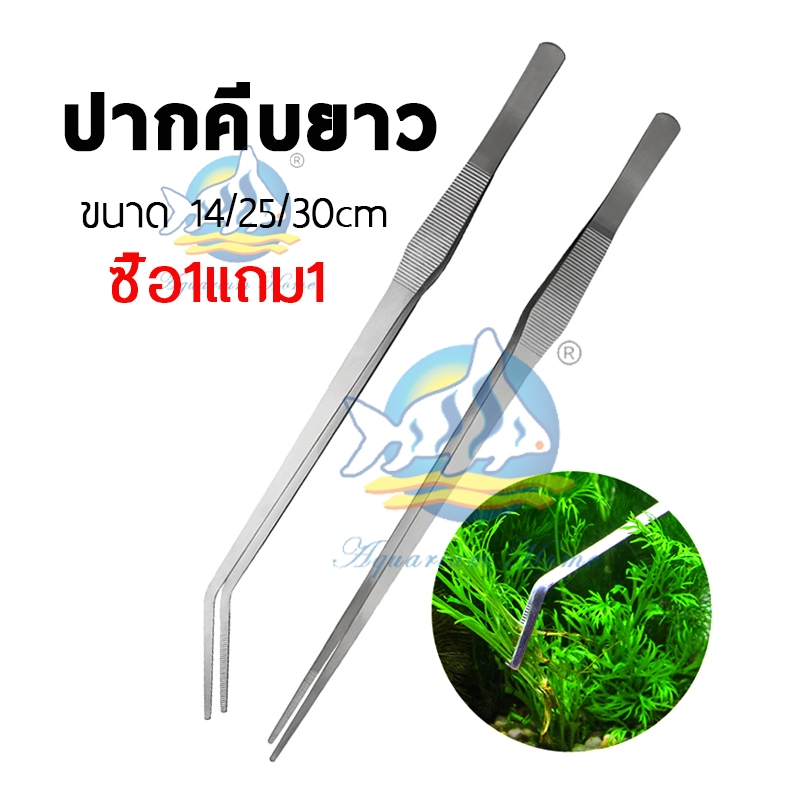 (ซื้อ1แถม1) ฟอร์เซป Long forcep ที่แหนบไม้น้ำ ปากคีบยาว ฟอเซปใหญ่ สแตนเลส ฟอร์เซปปลูกกระบองเพชร