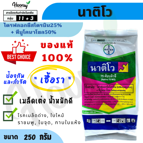 นาติโว 250 กรัม (ของแท้)( ไตรฟลอกซีสโตรบิน + ทีบูโคนาโซล ) โรคไหม้ เชื้อรา กาบใบแห้ง สแคป ราขนแมว