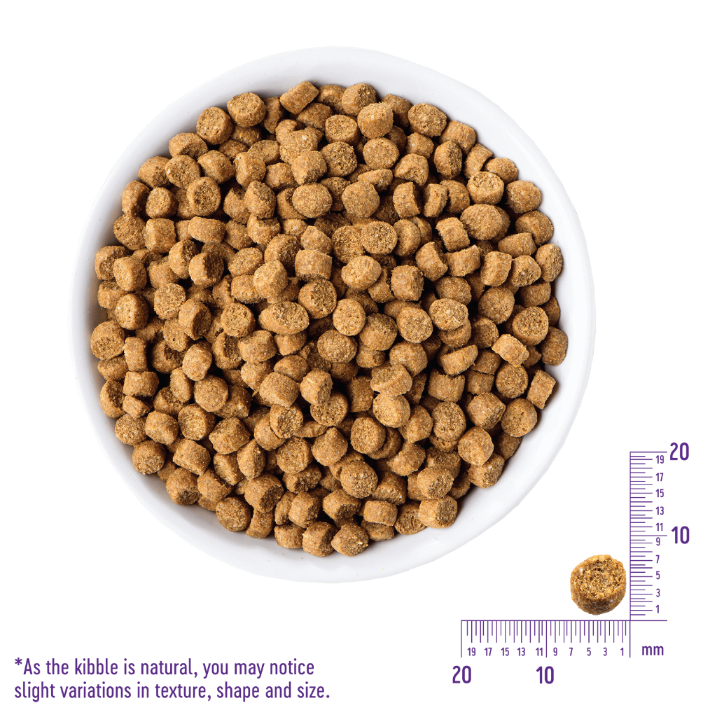 SAMPLE อาหารแมว WELLNESS CORE: Indoor  (30g) - รูปที่ 6