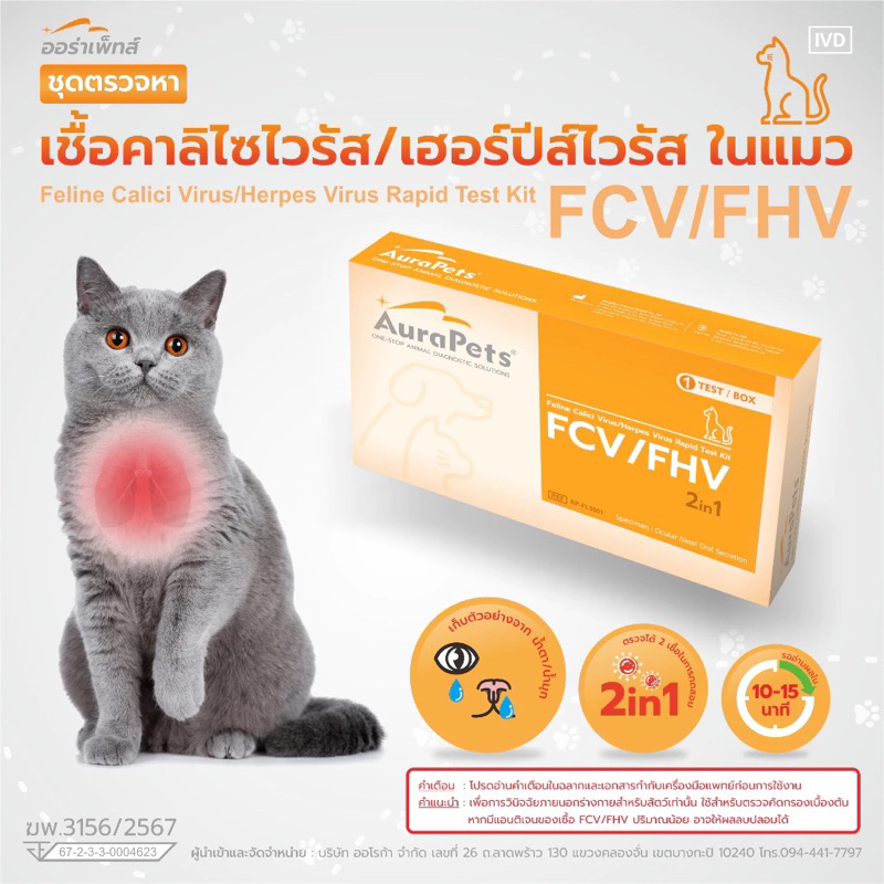 ชุดตรวจโรคติดเชื้อทางเดินหายใจ Feline Calici Virus/Herpes Virus Rapid Test Kit (FCV/FHV) สำหรับแมว