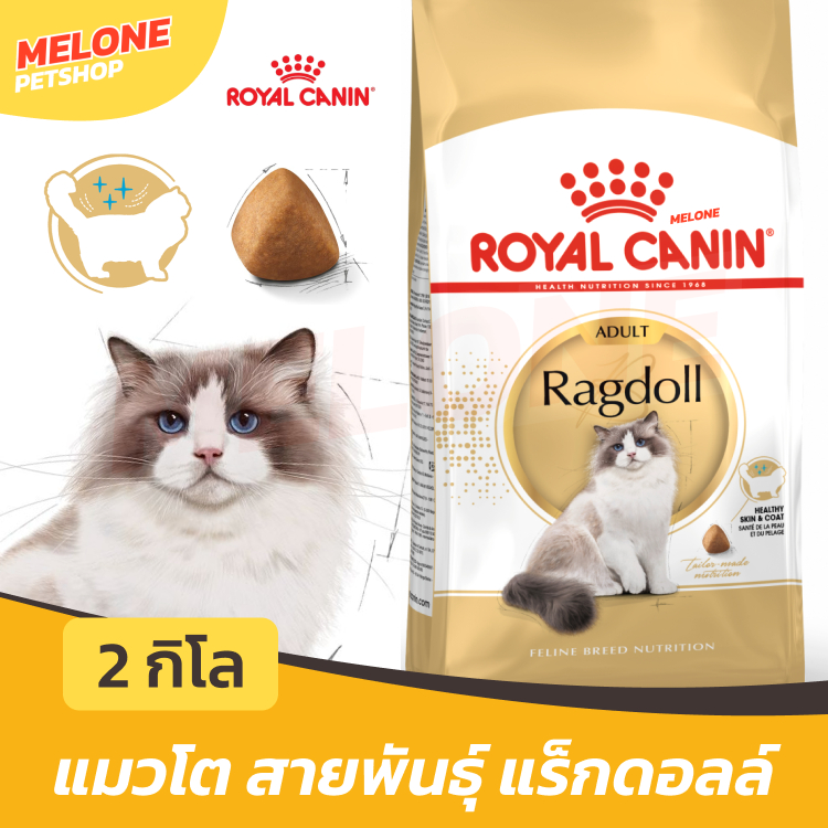 Royal Canin Ragdoll อาหารแมว แมวโต รอยัลคานิน บำรุงขน ขนสวย พันธุ์ แร็กดอลล์ 2 kg