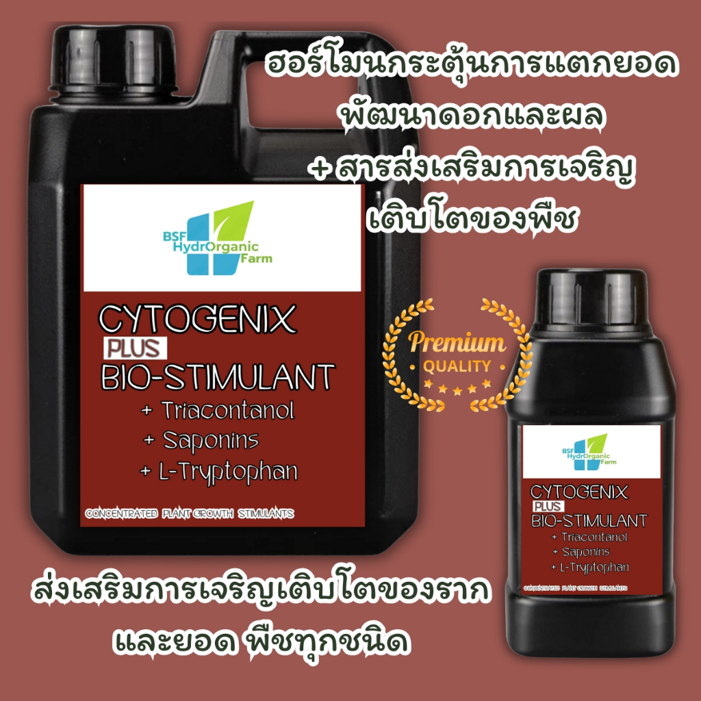 ไซโตไคนิน กระตุ้นตาดอก แตกตาพืช เปิดตาดอก เร่งออกดอก เร่งการแตกกิ่ง เร่งยอด เร่งแตกตาข้าง