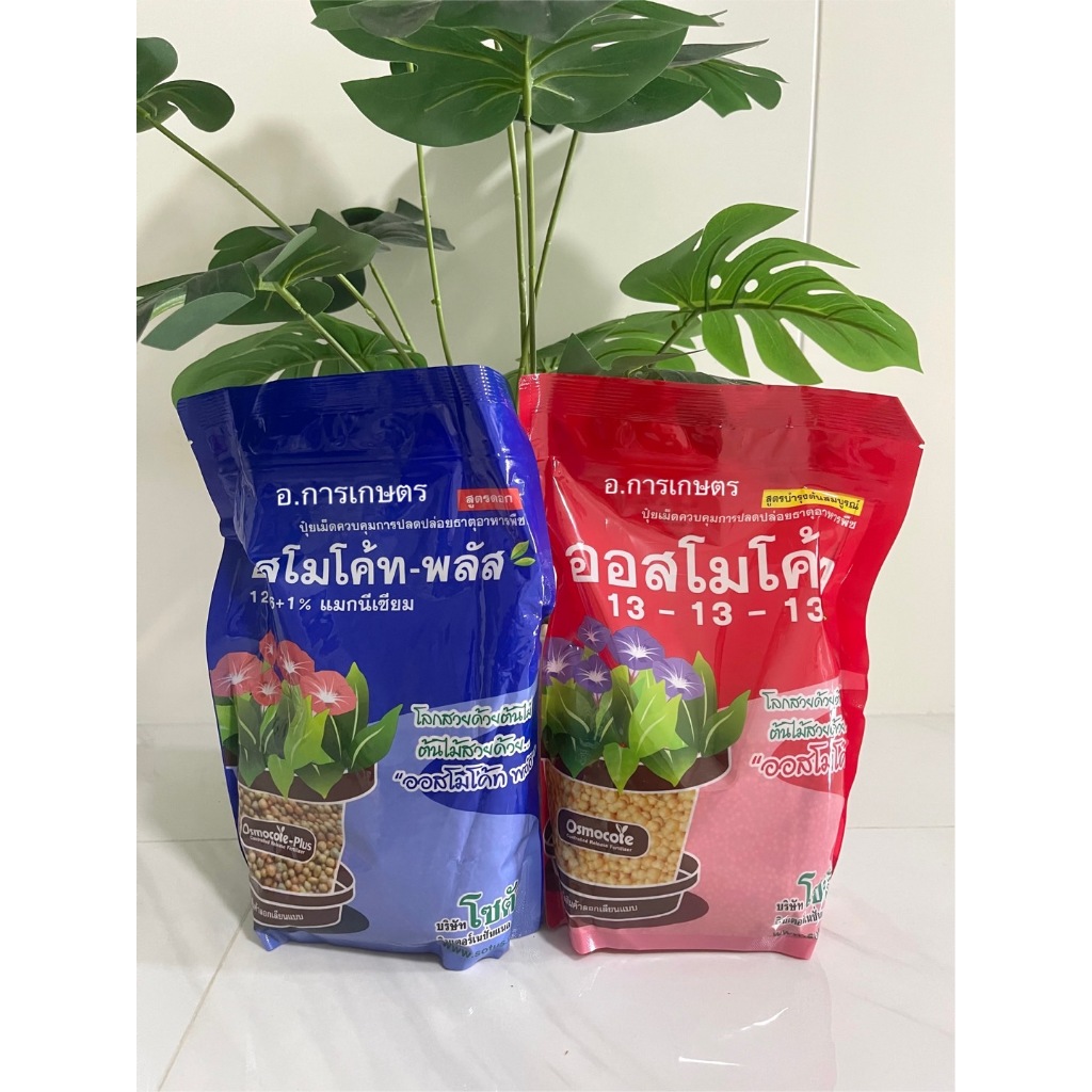 ใช้โค้ตพร้อมกันได้ ปุ๋ย ออสโมโค้ท สูตร 13-13-13 ขนาด 1กก. ออสโมโค้ท พลัส 12-25-6  ขนาด 1กก.