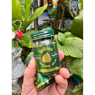 โพธิ์ทอง ยาหม่อง สมุนไพรไทย 50g Massage BALM ยาหม่องเขียวโพธิ์ทอง