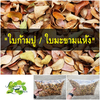 👑ใบก้ามปู ใบฉำฉา ใบมะขามแห้ง สำหรับผสมดินปลูกต้นไม้ 👑