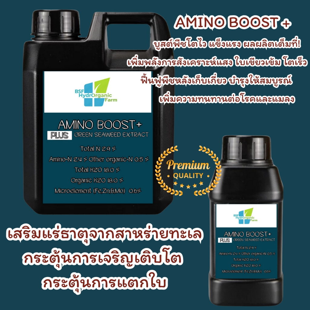 อะมิโน กรดอะมิโนพืช  สาหร่ายทะเล สาหร่ายสีเขียว Amino+Seaweed Extract อมิโนพลัส