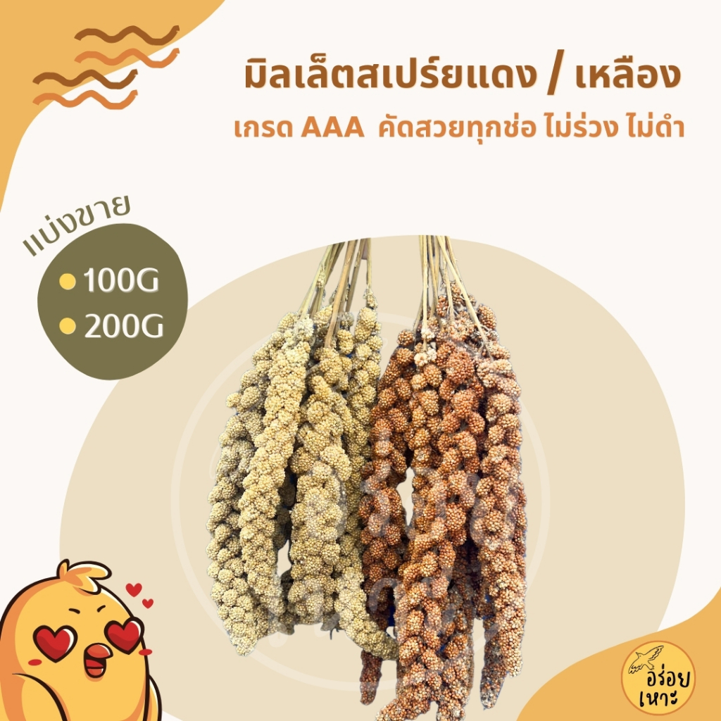 มิลเล็ตสเปรย์แดง / เหลือง อาหารนกแก้ว หนูแฮมสเตอร์ และสัตว์ฟันแทะ Millet Spray (แบ่งขาย 100G / 200G)