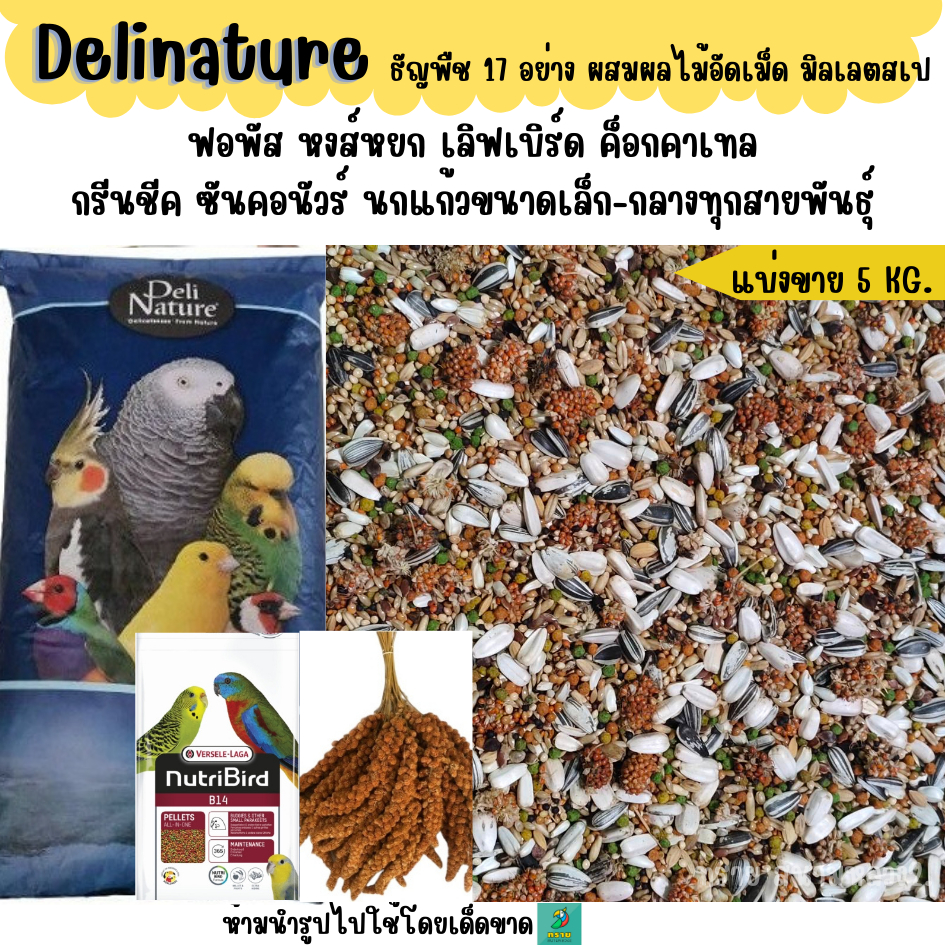 (5 KG./10 KG.) Delinature ธัญพืช 17 อย่าง อาหารนกแก้วเล็ก-กลางทุกสายพันธุ์